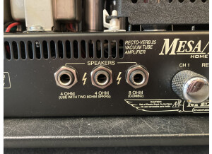 Mesa Boogie Recto-Verb 25 Head (56785)