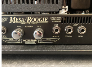 Mesa Boogie Recto-Verb 25 Head (61816)