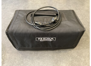 Mesa Boogie Recto-Verb 25 Head (31117)