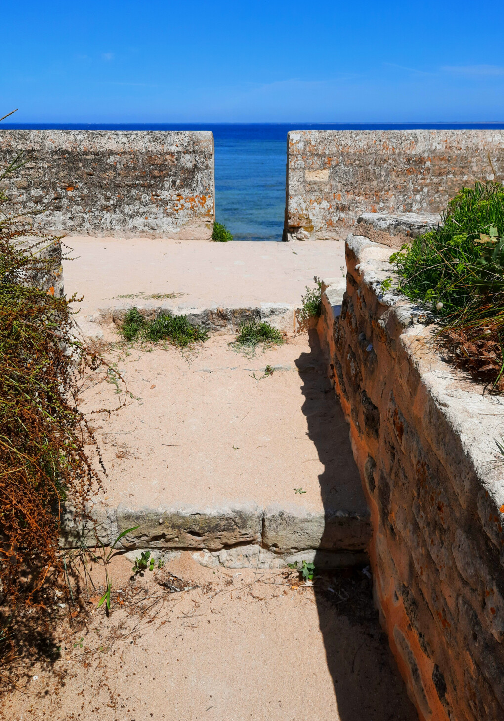 6155865.jpg 6155865.jpg