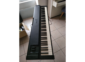 17214998146032239599788676434620