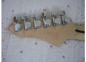 Vigier Excalibur Shawn Lane Master Signature - Clear Black Rosewood