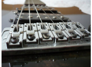 Vigier Excalibur Shawn Lane Master Signature - Clear Black Rosewood