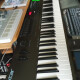 Impact LX88 Impact LX88