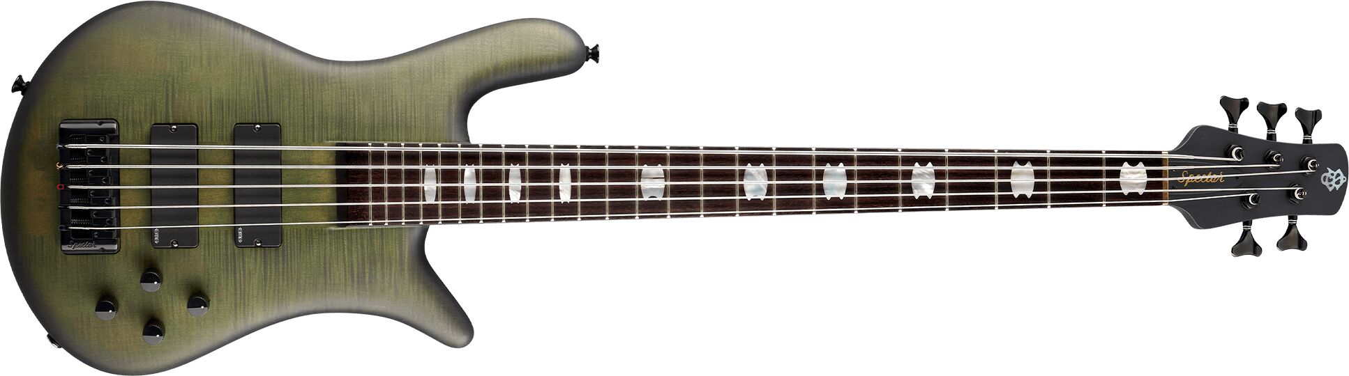 Spector Euro 5 LX (2024) : Euro 5 LX