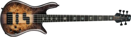 Spector Euro 5 CST : Euro 5 CST Spector Euro 5 CST : Euro 5 CST