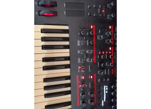 Dave Smith Instruments Pro 2 (77720)