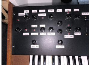 IMG 20240624 102646 - Copy