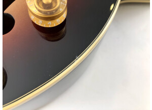 Gibson Steve Howe Signature ES-175 (22023)