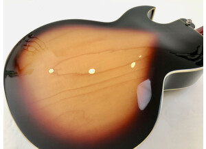 Gibson Steve Howe Signature ES-175 (24654)