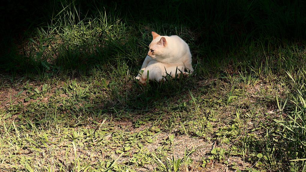 6158013.jpg 6158013.jpg