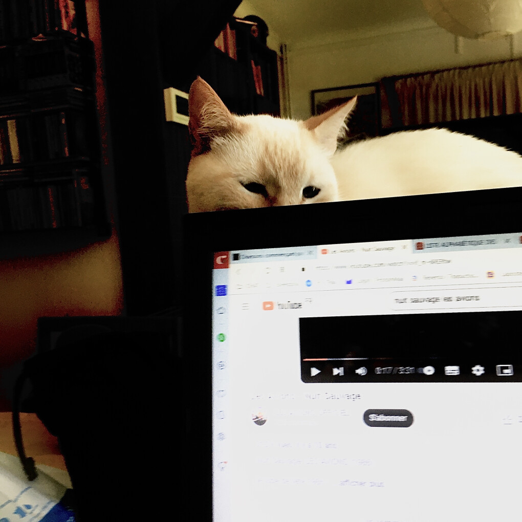 6158515.jpg 6158515.jpg