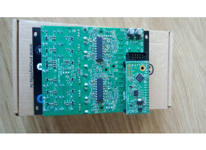 Erica Synths Black Dual VCF (48985)