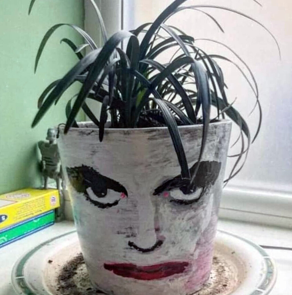 6161361.jpeg 6161361.jpeg