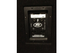 Peavey PRO-SUB (2577)