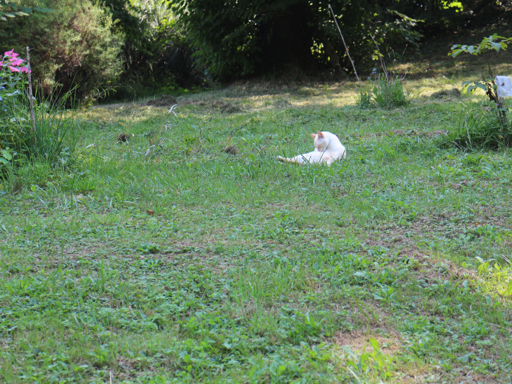 6161736.jpg 6161736.jpg