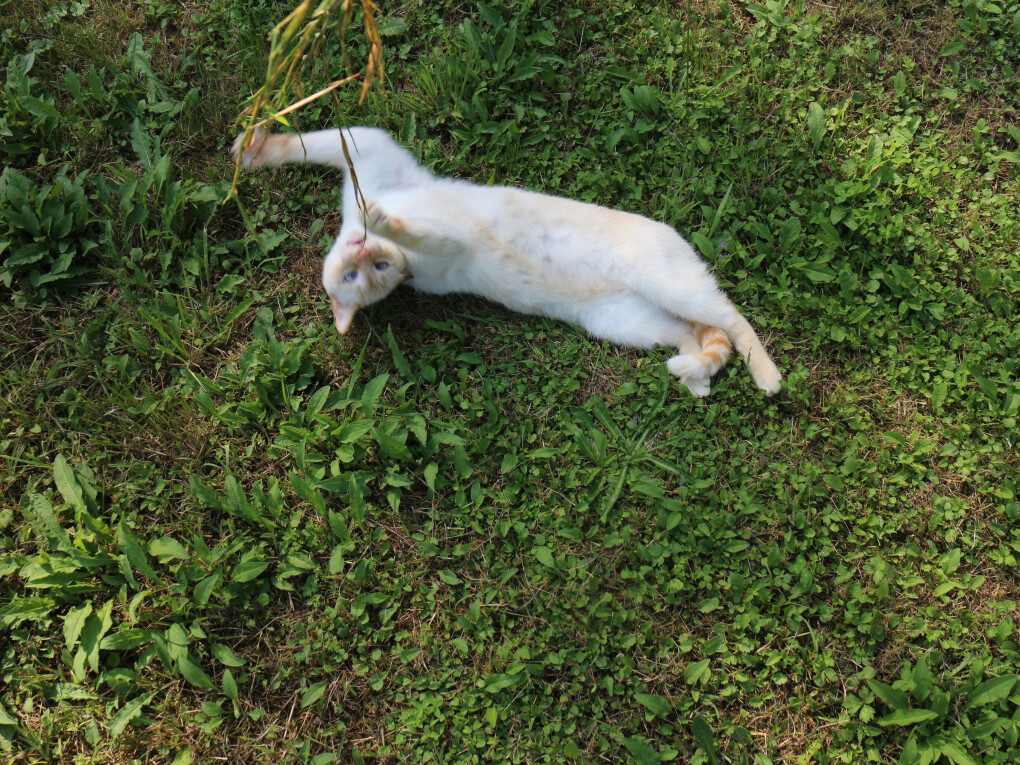 6161737.jpg 6161737.jpg