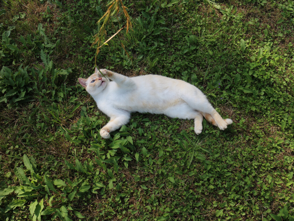 6161738.jpg 6161738.jpg