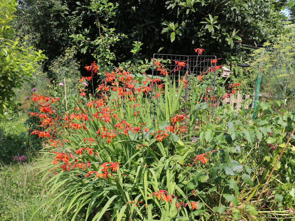 6161740.jpg 6161740.jpg