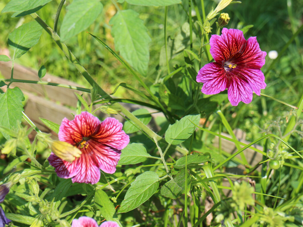 6161741.jpg 6161741.jpg