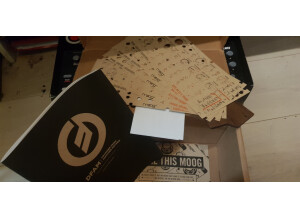 Moog Music DFAM (Drummer From Another Mother) (67029)