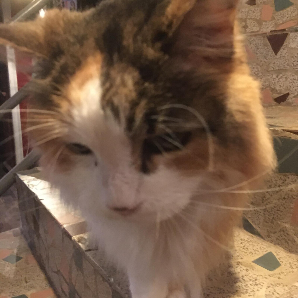 6163188.jpg 6163188.jpg