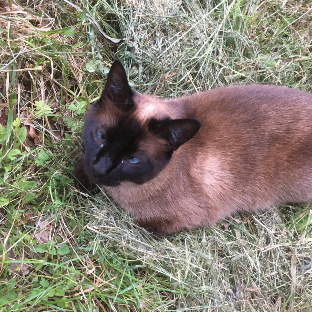 6163189.jpg 6163189.jpg