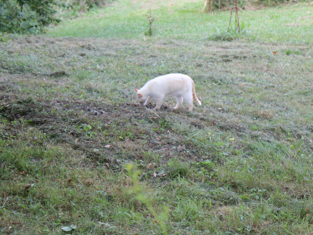 6163190.jpg 6163190.jpg