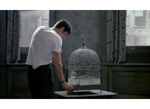 081f13fa66ec57a99b2964657e658b7d