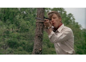 image 2024-07-30 204907628