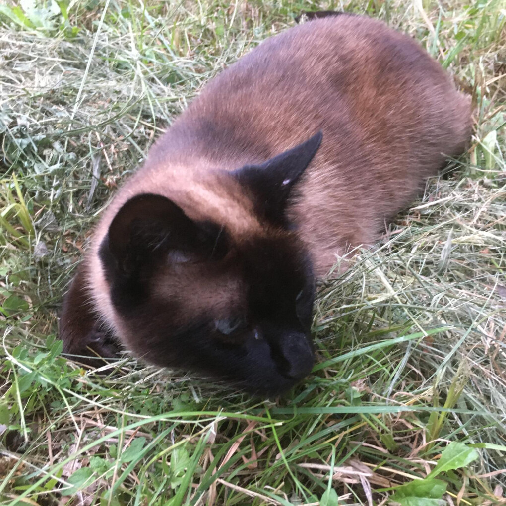 6164897.png 6164897.png