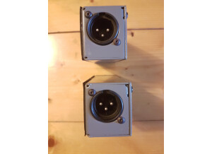 Radial Engineering IceCube IC-1 (16354)