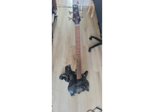 Basse
