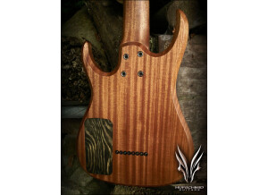 Hufschmid Guitars H8 Salvaged Old Growth Western Maple Top