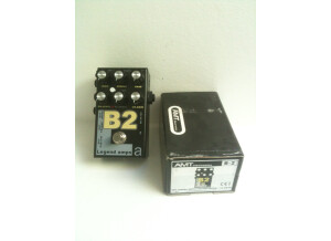 Amt Electronics B-2 Bogner