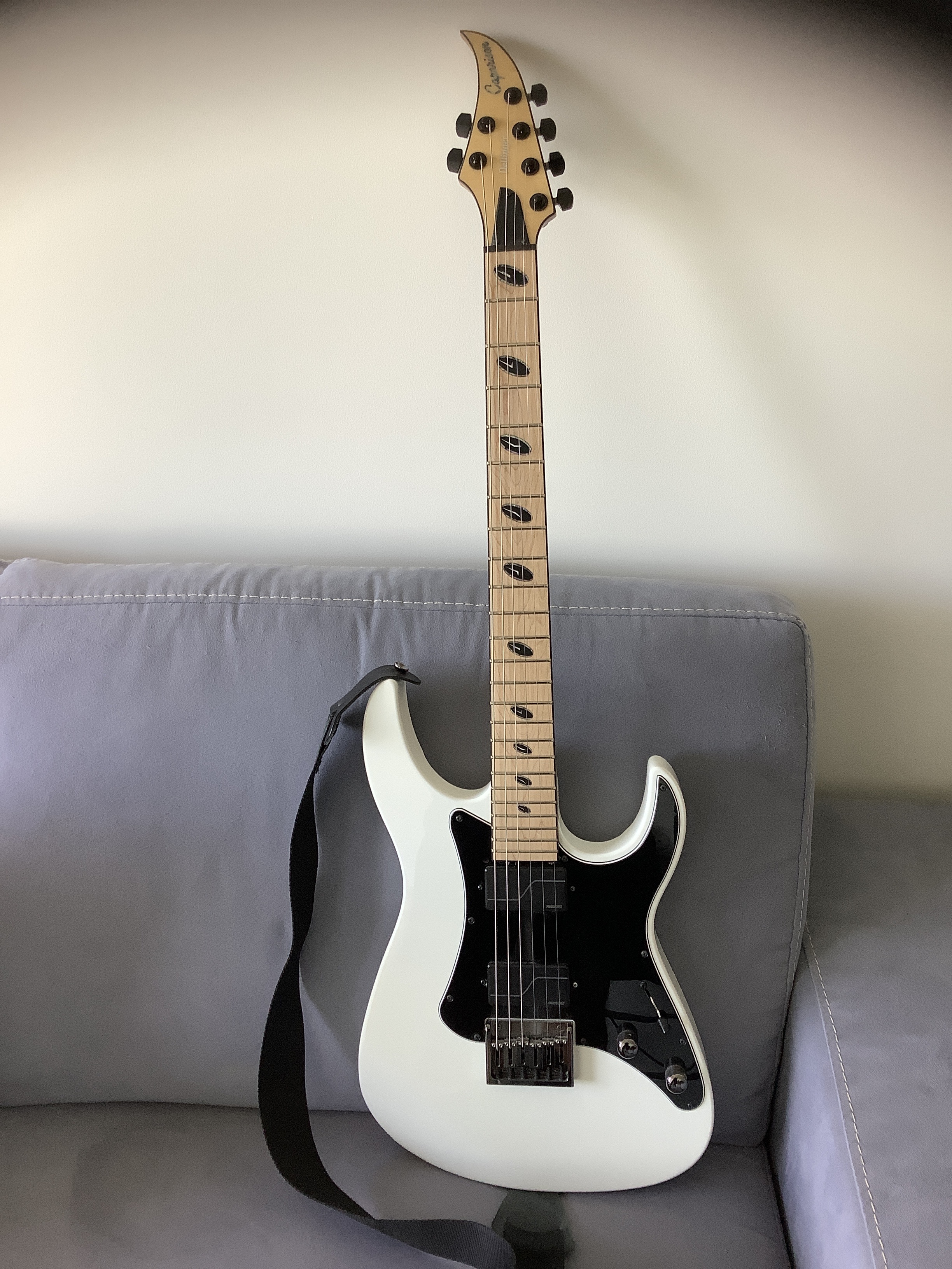 Vends Caparison Dellinger JSM