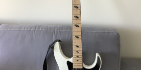 Vends Caparison Dellinger JSM
