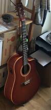 Art & Lutherie CW Cedar Quantum 1