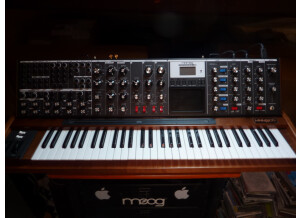 Moog Music MiniMoog Voyager XL (54428)