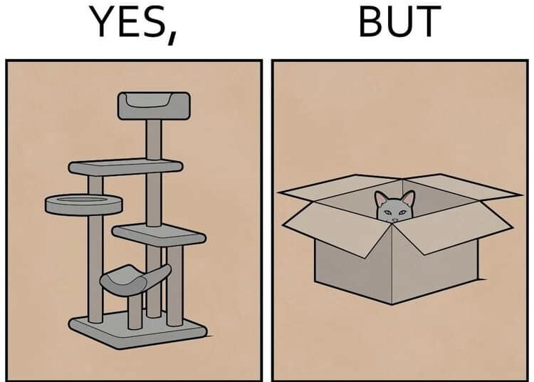 6170246.jpeg 6170246.jpeg