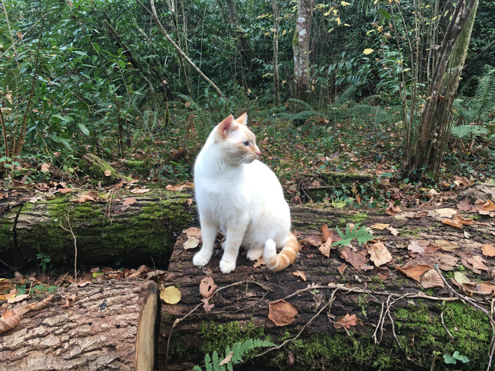 6171745.jpg 6171745.jpg