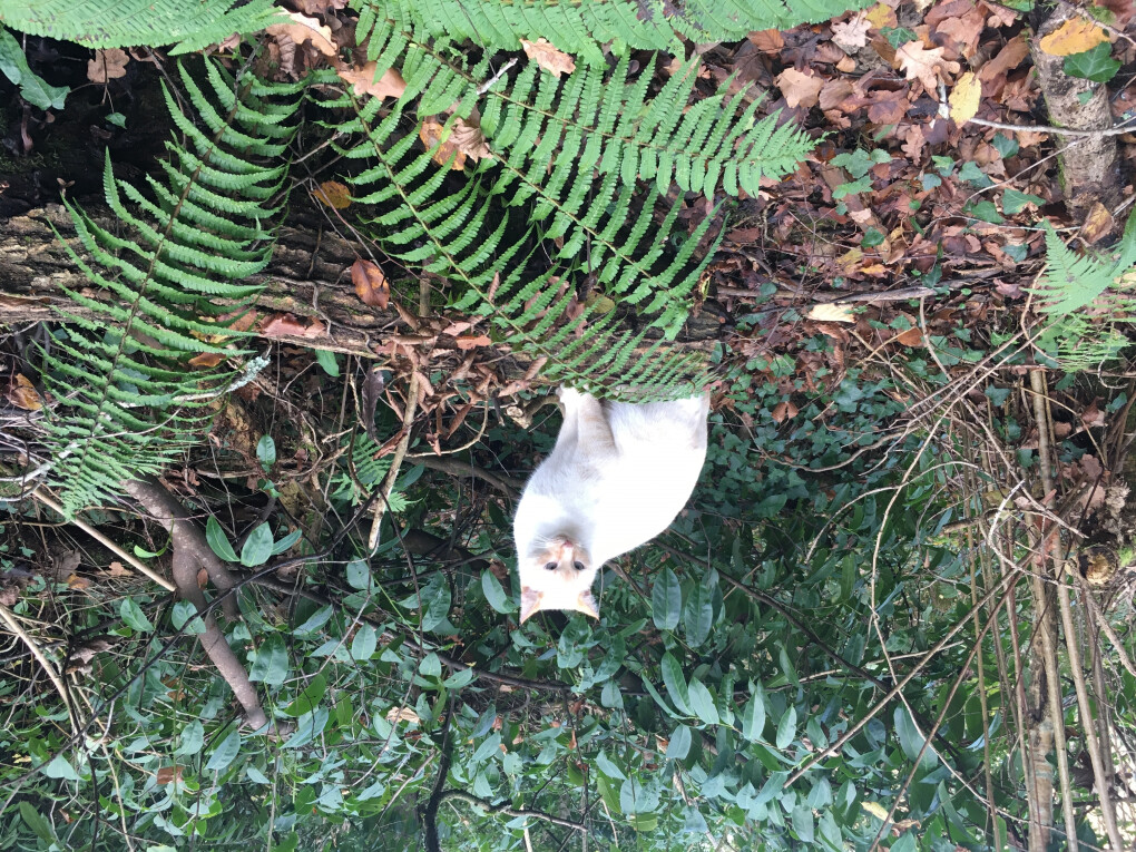 6171747.jpg 6171747.jpg