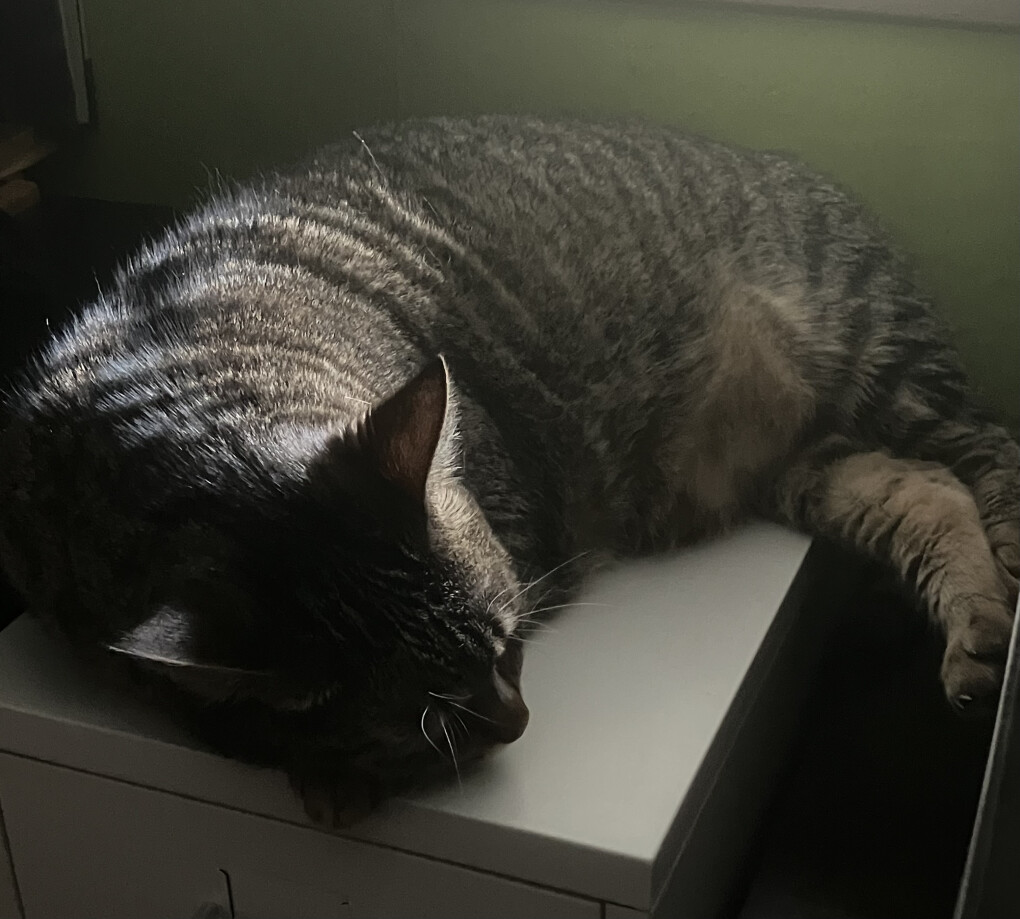 6175193.jpeg 6175193.jpeg