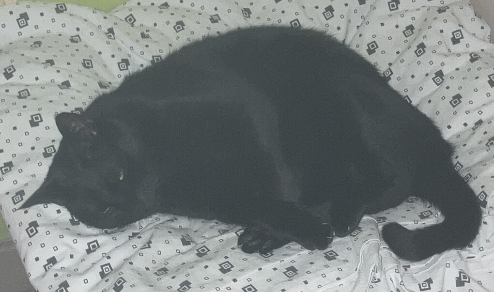 6175194.jpeg 6175194.jpeg