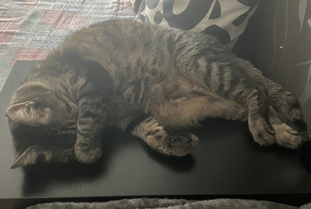 6175195.jpeg 6175195.jpeg