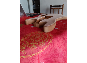 Warmoth Stratocaster (2448)