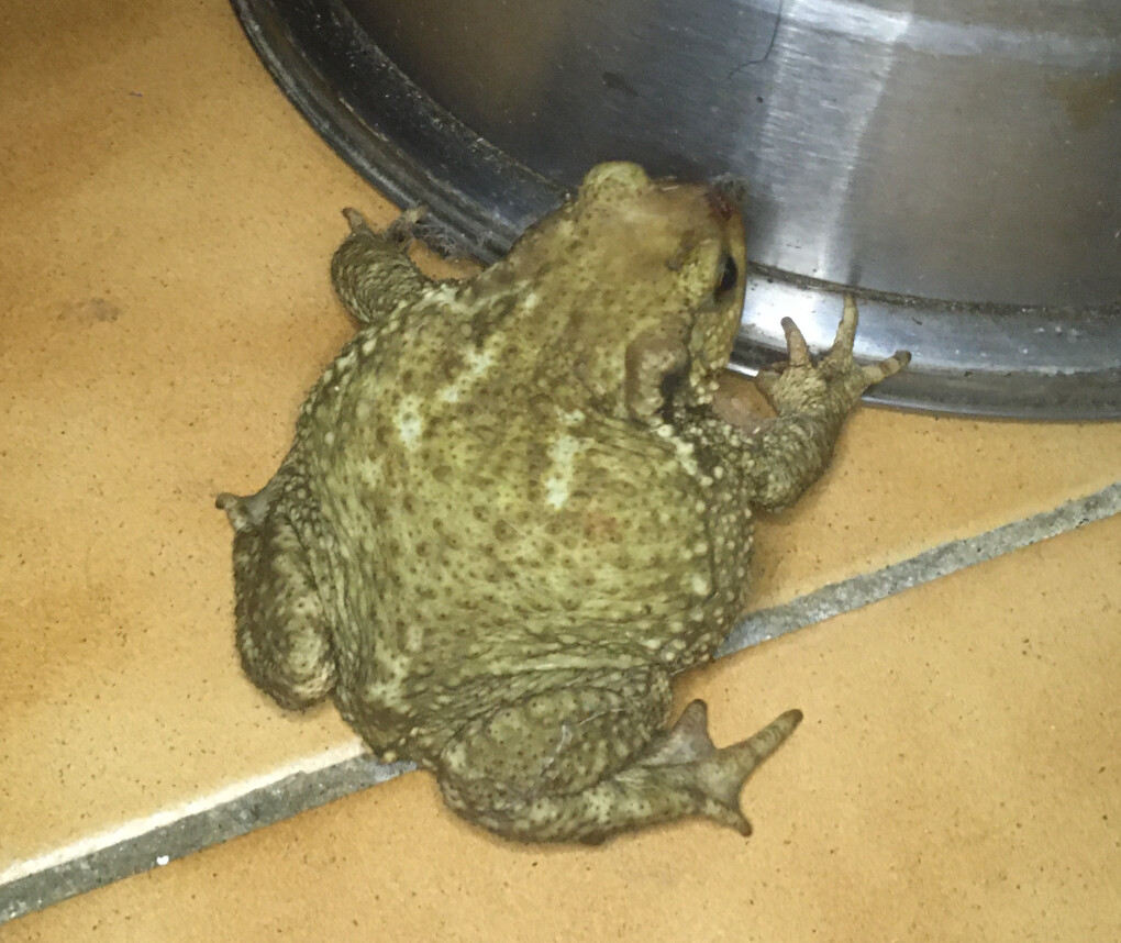 6175732.png 6175732.png