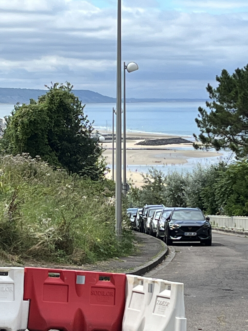 6176052.jpeg 6176052.jpeg