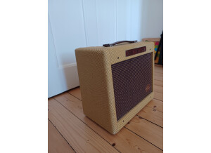 Fender EC Vibro-Champ (2533)