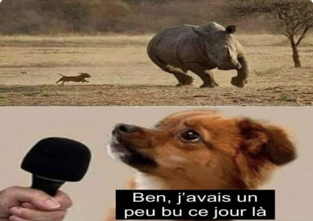 6177111.jpeg 6177111.jpeg